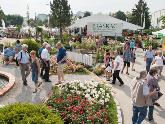 圖爾恩國(guó)際園藝博覽會(huì),圖爾恩國(guó)際園藝博覽會(huì)現(xiàn)場(chǎng)，花園展現(xiàn)場(chǎng)